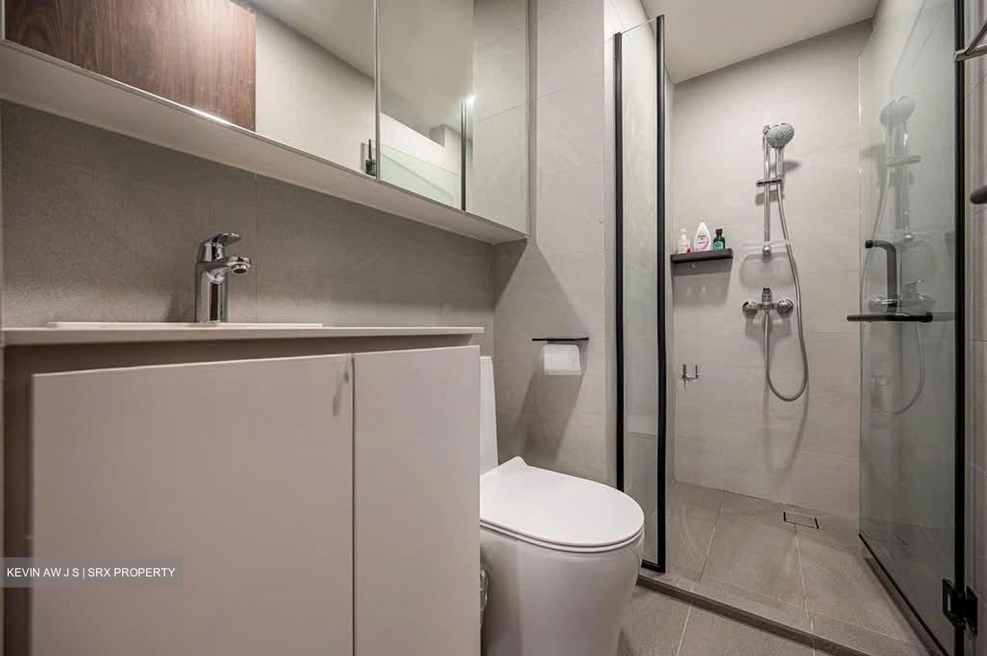 Signature Park (D21), Condominium #570676101